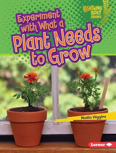 Experiment with What a Plant Needs to Grow: Plant Experiments