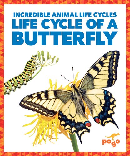 Life Cycle of a Butterfly