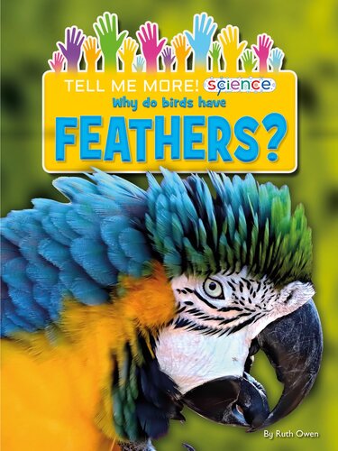 Why Do Birds Have Feathers?