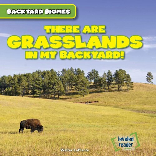 There Are Grasslands in My Backyard!