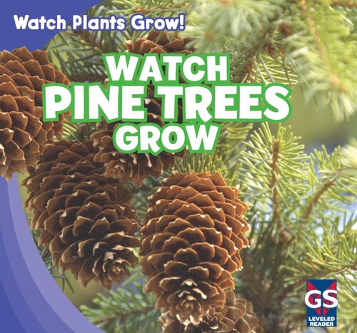 Watch Pine Trees Grow