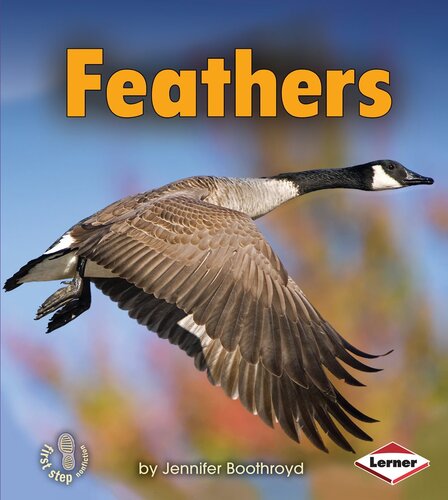 Feathers: Body Coverings