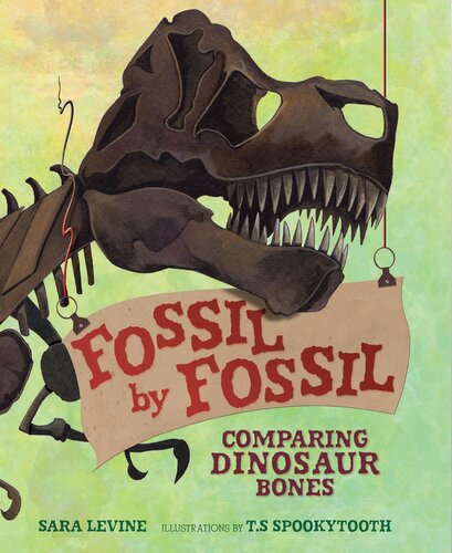 Fossil by Fossil: Comparing Dinosaur Bones