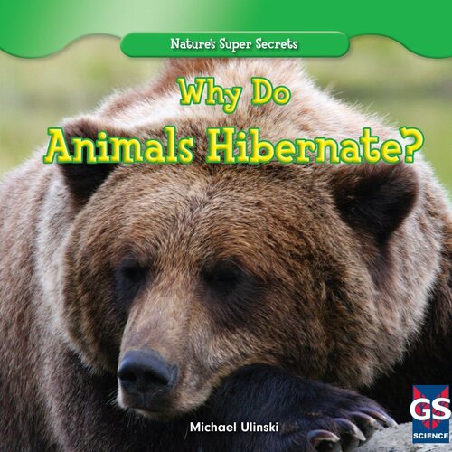 Why Do Animals Hibernate?