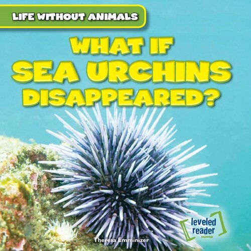 What If Sea Urchins Disappeared?