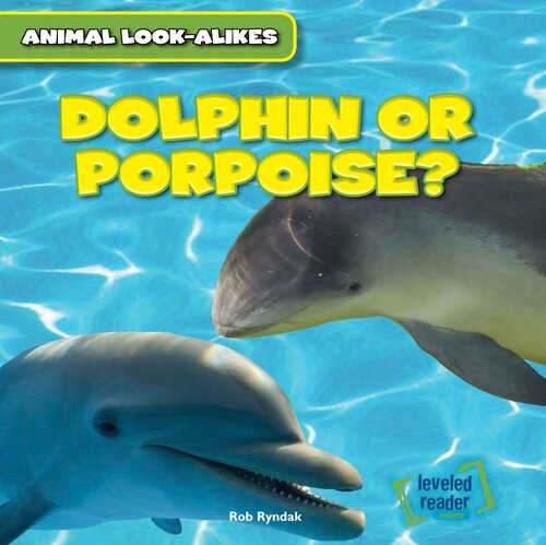 Dolphin or Porpoise?