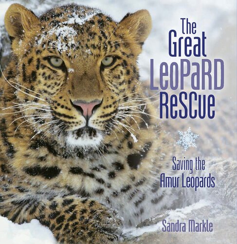 The Great Leopard Rescue: Saving the Amur Leopards