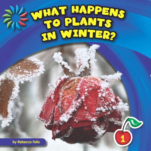 What Happens to Plants in Winter?