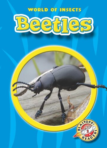 Beetles