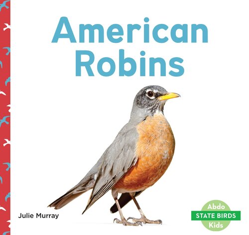 American Robins