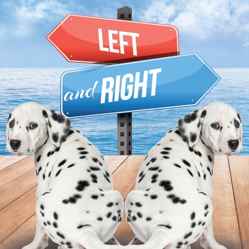 Left and Right
