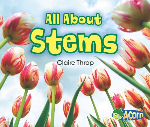 All about Stems