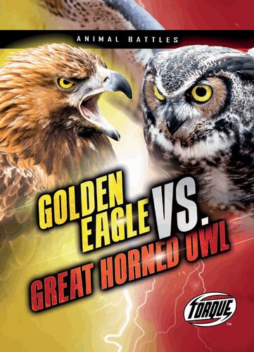 Golden Eagle vs. Great Horned Owl