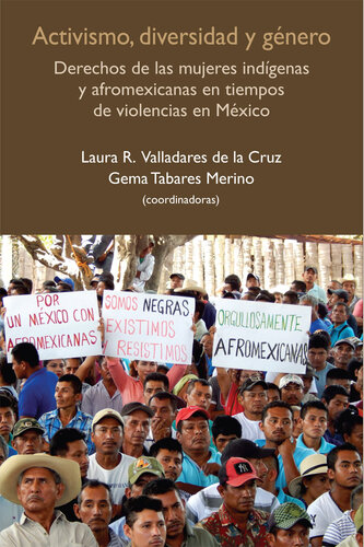Activismo, diversidad y género: Derechos de las mujeres indígenas y afromexicanas en tiempos de violencias en México