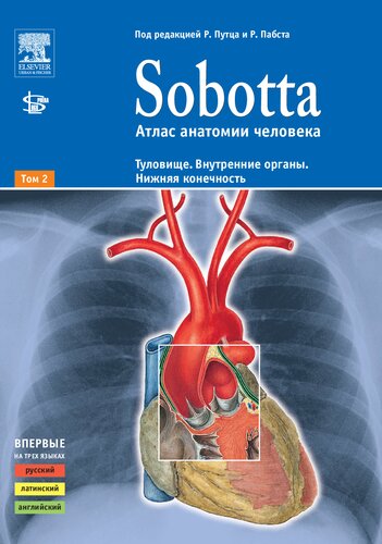 Sobotta. Атлас анатомии человека. Том 2. Туловище. Внутренние органы. Нижняя конечность