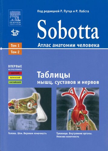 Sobotta. Атлас анатомии человека. Таблицы мышц, суставов и нервов
