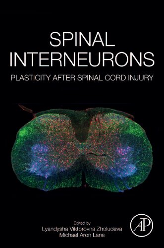 Spinal Interneurons: Plasticity after Spinal Cord Injury