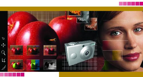 Paint Shop Pro 8.0 User Guide