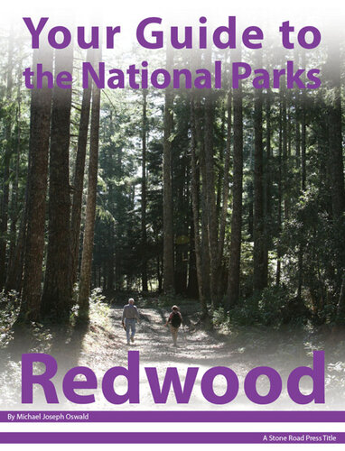 Your Guide to Redwood National Park