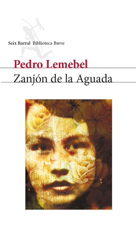 Zanjón de la Aguada