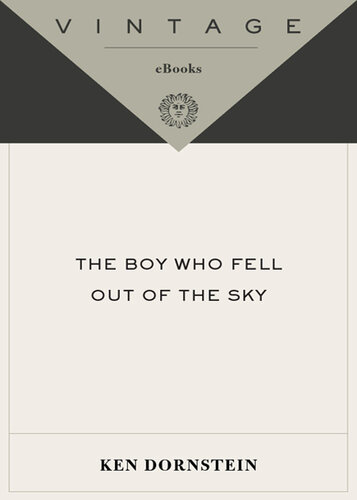 The Boy Who Fell Out of the Sky