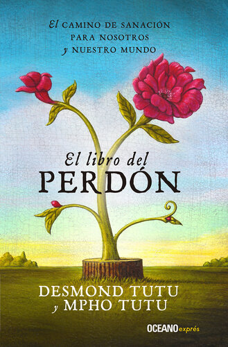 El libro del perdón