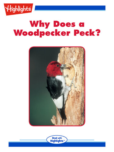 Why Does a Woodpecker Peck?