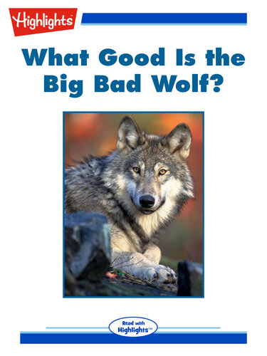 What Good Is the Big Bad Wolf?