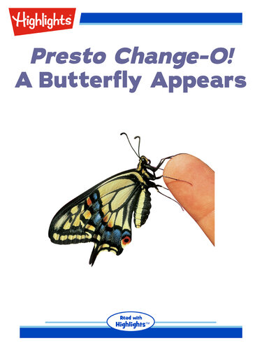 Presto Change-O! A Butterfly Appears