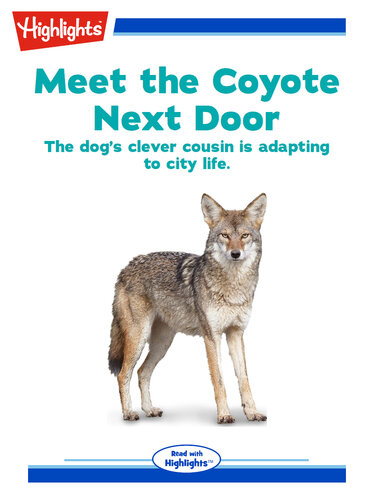 Meet the Coyote Next Door