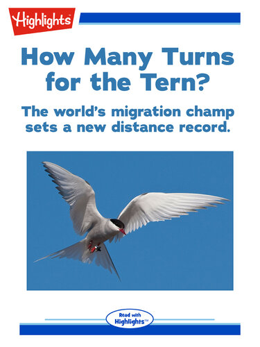 How Many Turns for the Tern?