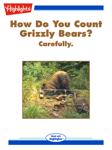 How Do You Count Grizzly Bears?