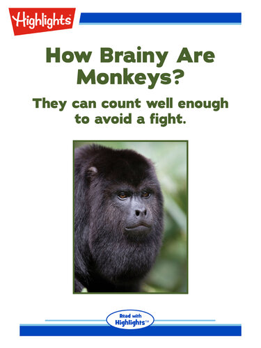 How Brainy are Monkeys?