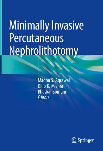Minimally Invasive Percutaneous Nephrolithotomy