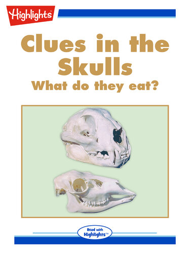 Clues in the Skulls