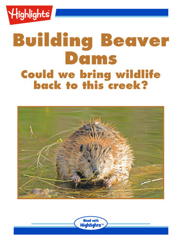 Building Beaver Dams