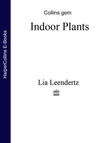 Indoor Plants