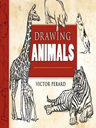 Drawing Animals