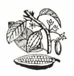 Chocolate and Cocoa Recipes and Home Made Candy Recipes