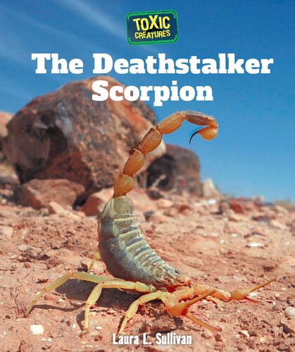 The Deathstalker Scorpion
