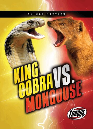 King Cobra vs. Mongoose