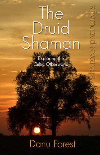 The Druid Shaman: Exploring the Celtic Otherworld; Shaman Pathways