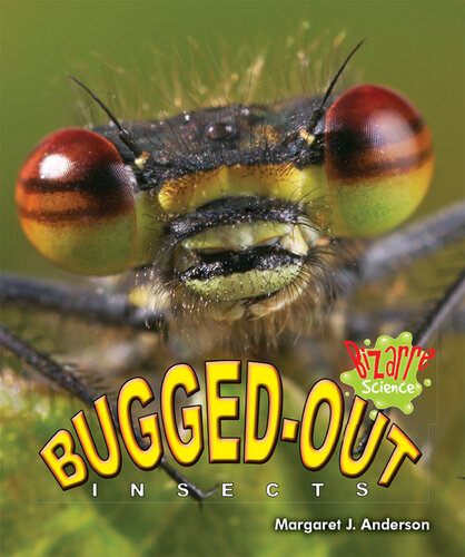 Bugged-Out Insects