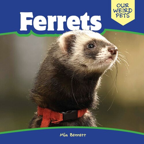 Ferrets