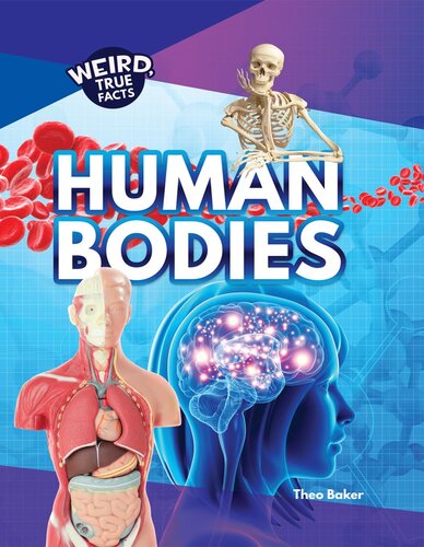 Human Bodies