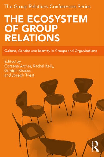 The Ecosystem of Group Relations: Culture, Gender and Identity in Groups and Organizations