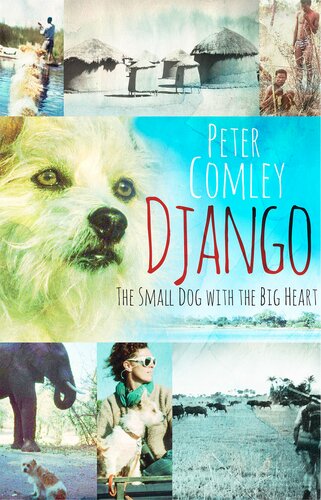 Django: The small dog with a big heart