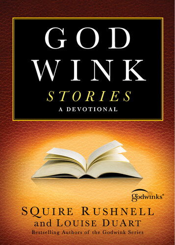 Godwink Stories: A Devotional