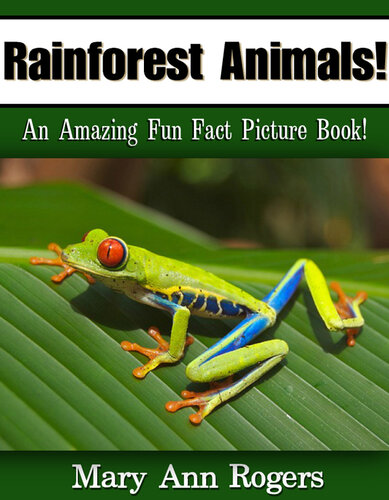 Rainforest Animals
