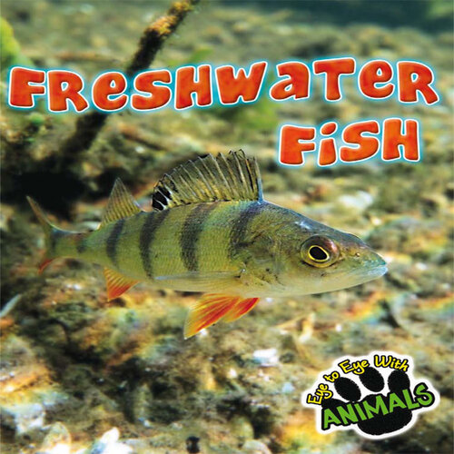 Freshwater Fish